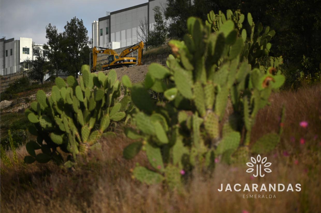 galeria-jacarandas10.50.16