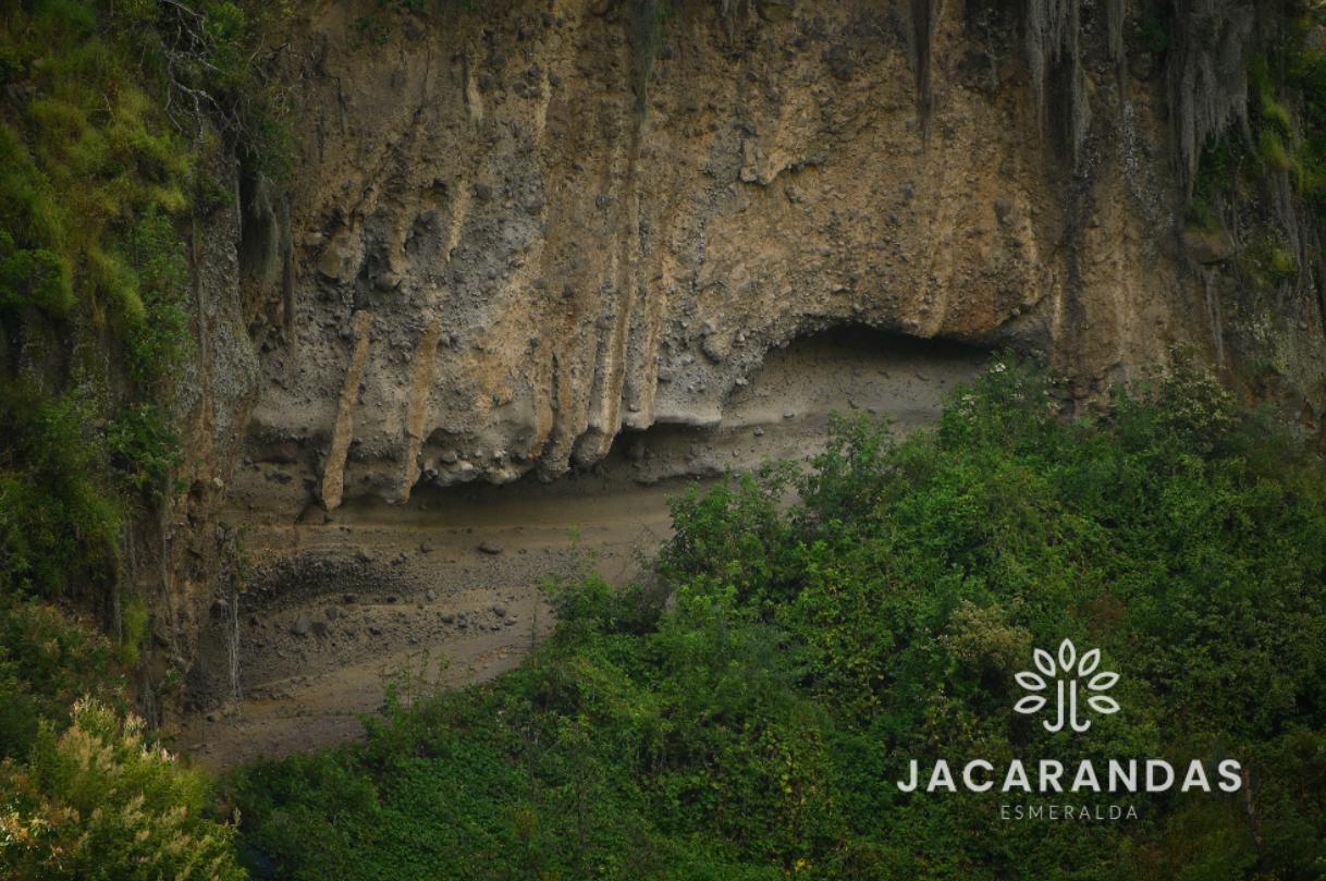 galeria-jacarandas10.50.18 (3)